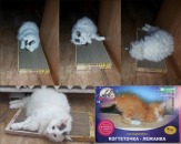 Когтедралки для кошек в Волгограде.